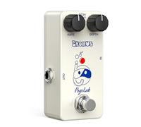 POGOLAB Pédale Chorus, Pédale Guitare avec Commandes de Fréquence et de Profondeur, Mini Boîtier en Alliage d'Aluminium, True Bypass, Pédale d'Effet Guitare Analogique pour Guitare Basse Électrique