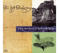 Poi Dog Pondering - Wishing a Mountain & Thinking Like The Sea