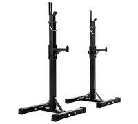 POIDS - TECTAKE - Rack de Rangement pour Haltères Capacité 100 kg 49 cm x 46 cm x 157 cm en Acier - Noir