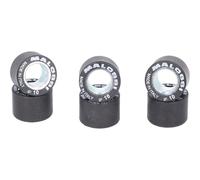 Poids variomatiques Malossi HT 19x13,7mm - 12,0g