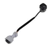 PoignCoffre Voiture Caméra Recul pour Hyundai pour Santa Fe Sport 2013-2014 95760-2W000 Caméra Recul D'aide Au Stationnement Voiture 95760-2W100