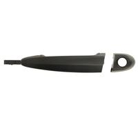 Poignée Avant à Gauche pour: BMW 1 E81, E87,1 E82,E88,1 E87 11.03-12.13