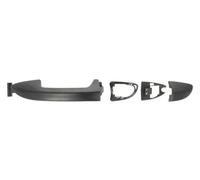 BLIC Poignée de porte 6010-01-043401P avant gauche arrière gauche Compatible avec VW Passat B6 Variant 3C5 Passat B6 Berline 3C2 Passat B7 Van/Break 365 Passat NMS A32, A33