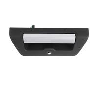 Poignée de hayon de rechange compatible avec Ford F-150 2015-2017 modèle FL3Z9943400AA avec ouverture de caméra