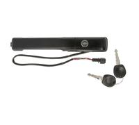 Poignée extérieure de porte avant gauche BLIC 6010-01-008401P