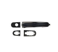 Poignée de porte BLIC 6010-03-039401P gauche