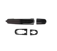 Poignée extérieure de porte avant droit BLIC 6010-03-039402P