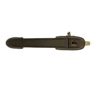 Poignée de porte BLIC 6010-07-017401P gauche