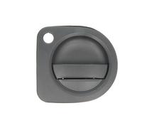 Poignée de porte BLIC 6010-09-065401P