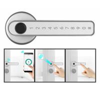 Poignée de porte connectée TSZ-800 avec scanner d'empreintes et code PIN - coloris argenté [VisorTech]