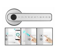 Poignée de porte connectée TSZ-800 avec scanner d'empreintes et code PIN - coloris argenté [VisorTech]