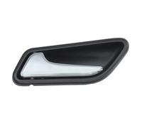 Poignée de porte extérieure BLIC 6010-02-041409TP