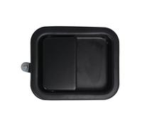 Poignée de porte extérieure BLIC 6010-55-002401P