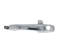 Poignée de porte extérieure BLIC 6010-55-015401P