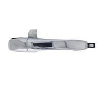 Poignée de porte extérieure BLIC 6010-55-015402P