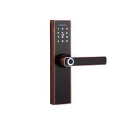 Poignée de Porte Intelligente, Smart Lock', Porte Électronique avec Application, Carte À Puce Biométrique Empreintes Digitales, Clé De Mot Passe pour l'avant pour Maison, appart(Brass)