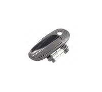 Poignée De Porte LM564Q 806044M500