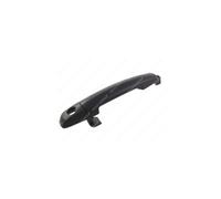PRASCO SZ0568002 Poignée de porte