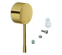 Grohe Essence Levier, 46916GN0,