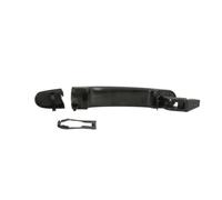 Poignée extérieure de porte avant droit BLIC 6010-10-010402P