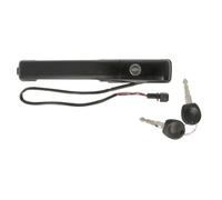 Poignée extérieure de porte avant gauche BLIC 6010-01-008401P