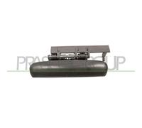 Poignée Extérieure De Porte Prasco CI4208002 pour Citroën Avant Gauche