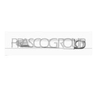 Poignée Extérieure De Porte Prasco FD0088005 pour Ford Avant Droite