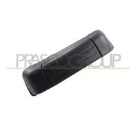 PRASCO SZ0548301 Poignée de porte