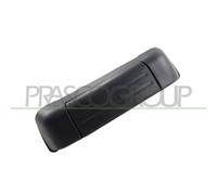 PRASCO SZ0548301 Poignée de porte