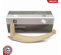 Poignée Externe De Portière Droite Pour BMW X5 X6