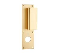Poignée palière aluminium type Bastille 70x250mm champagne trou de 36 - HERACLES - I-231102TR36