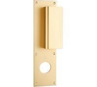 Poignée palière aluminium type Bastille 70x250mm champagne trou de 36 - HERACLES - I-231102TR36