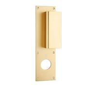 Poignée palière aluminium type Bastille 70x250mm champagne trou de 40 - HERACLES - I-231102TR40