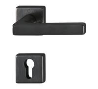 Poignée porte Dallas M1643/843KV/843KVS MS F96-1-R quad.PZ DIN G/D D/D HOPPE