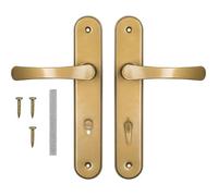 Poignée pour la Porte du WC pour la Salle de Bain WC 72 mm Le Biscuit, Poignée Aluminium, Gauche et Droite, Jeu de vis, Or, ADGO