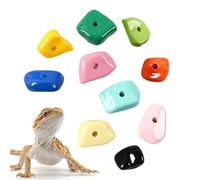Poignées d'escalade pour Dragons Barbus,10 Pièces Accessoires pour Terrarium De Reptiles - Fournitures pour l'escalade des Reptiles | pour Gecko Lézard Dragon Barbu Aquarium Terrarium