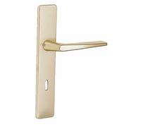 Vachette Set de poignées de porte RIVIERA – Clé L – Entraxe 195 mm – Aluminium Champagne