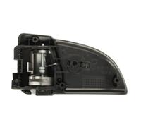 Poignet de porte, équipment intérieur avant droit BLIC 6010-53-025408P