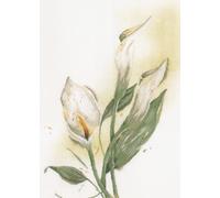 Point De Croix Compté Kit Tableau Complet Set CALLA LILY De Broderie Loisir Créatif Maison Decoration Cadeau DIY ca. 50 x 60 cm Counted Cross Stitch Embroidery