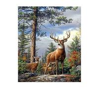 point de croix kit complet adulte,Cerf dans la forêt,dmc 11CT canevas kit complet,debutant broderie point de croix imprimé 40×50cm