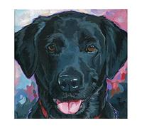 point de croix kit complet adulte,Chien Labrador noir,dmc 11CT canevas kit complet,debutant broderie point de croix imprimé 40×50cm