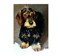 point de croix kit complet adulte,Chien teckel aquarelle,dmc 11CT canevas kit complet,debutant broderie point de croix imprimé 40×50cm