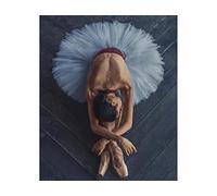 point de croix kit complet adulte,Danseuse de ballet,dmc 11CT canevas kit complet,debutant broderie point de croix imprimé 40×50cm