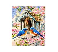 point de croix kit complet adulte,Oiseau,dmc 11CT canevas kit complet,debutant broderie point de croix imprimé 40×50cm