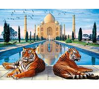 point de croix kit complet adulte,Tigre du Taj Mahal,dmc canevas point de croix kit complet,40×50cm,debutant broderie point de croix imprimé