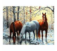 point de croix kit complet imprimé debutant enfant Cheval animal canevas point de croix compté de adulte 11CT broderie Cross Stitch Kits Artisanat Couture Needlework chambre décoration cadeau
