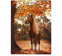 point de croix kit complet imprimé debutant enfant cheval canevas point de croix compté de adulte 11CT broderie Cross Stitch Kits Artisanat Couture Needlework chambre décoration cadeau