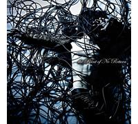 Point of No Return [Limited] [Import allemand]