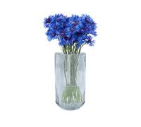 Point-Virgule Vase decoratif, décoration Maison, Vase Fleur en Verre, Bleu, 12.5x22.7cm