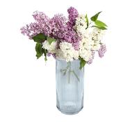 Point-Virgule Vase decoratif, décoration Maison, Vase Fleur en Verre, Bleu, 14.3x28cm